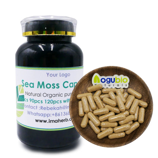 Sea moss with sea vegetables  Sea moss with bladderwrack and burdock  Sea moss plus bladderwrack  Sea moss combination supplement  Sea moss and seaweed supplement  Sea moss and algae supplement  Organic seaweed blend  Organic sea moss mix  Organic sea moss complex  Organic sea moss blend  Organic marine algae supplement  Bladderwrack-burdock supplement  Bladderwrack and burdock supplement  Bladderwrack and burdock formula  Bladderwrack and burdock blend